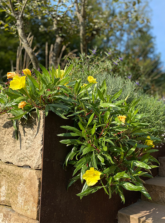 bolay-gartenbau_leistungen_pflanzen_03_949@2x