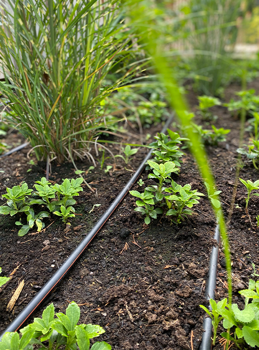 bolay-gartenbau_leistungen_wasser