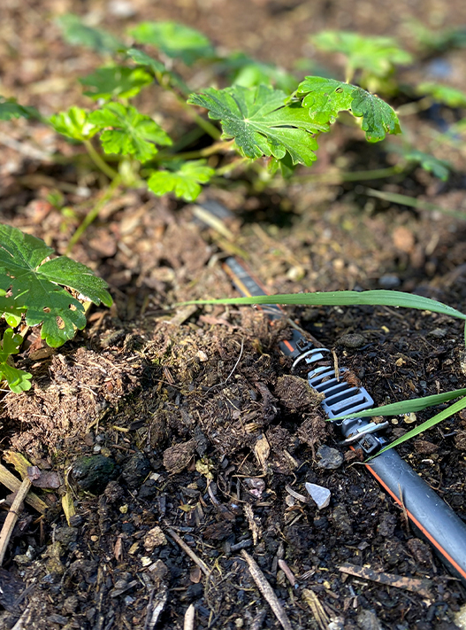 bolay-gartenbau_leistungen_wasser_04_949@2x